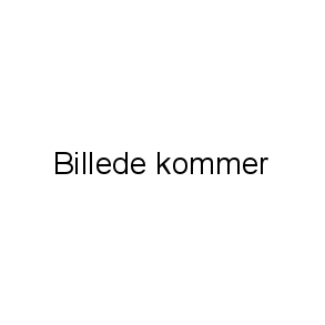 Instruktører VGF Teamgym